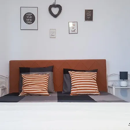 Exer Ii * 布加勒斯特