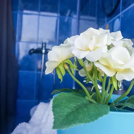 Daire Exer Ii Bükreş