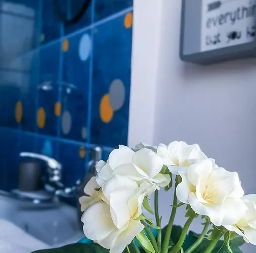 Apartament Exer Ii *