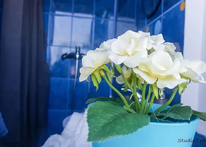 Apartament Exer Ii Bucureşti